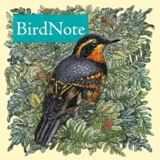 BirdNote